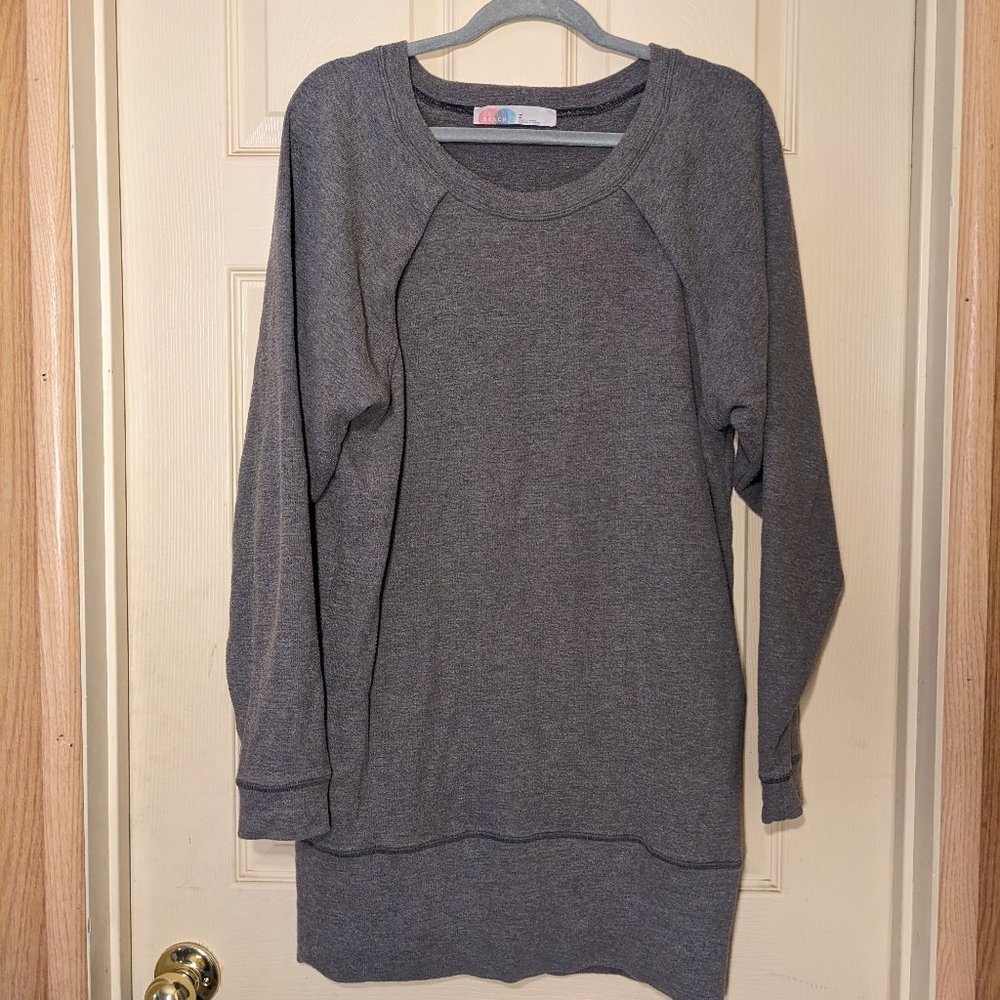 Free People beach sweatshirt dress